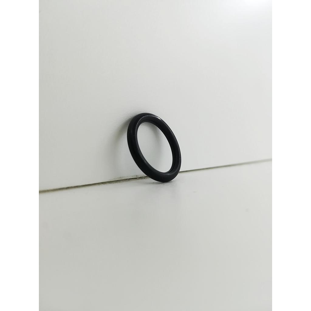 O-ring Fendt