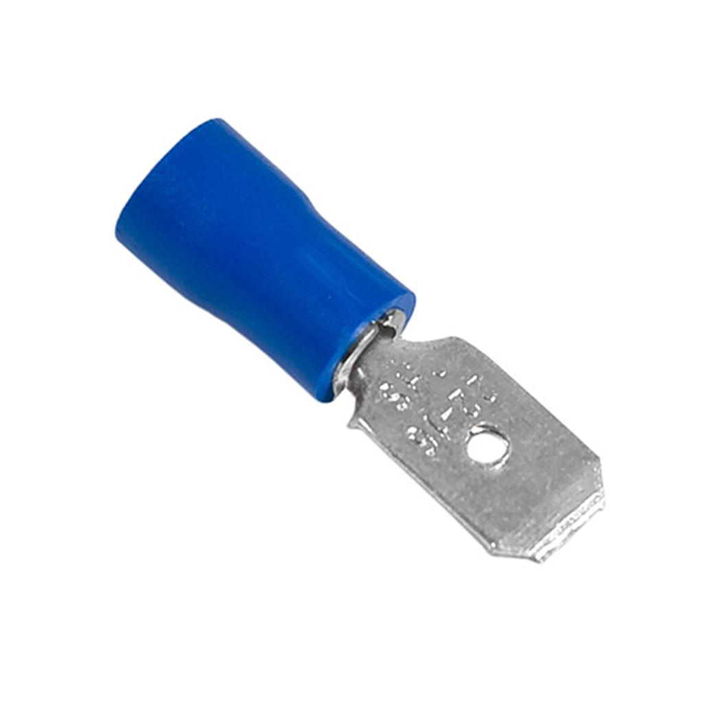 Terminal macho Azul