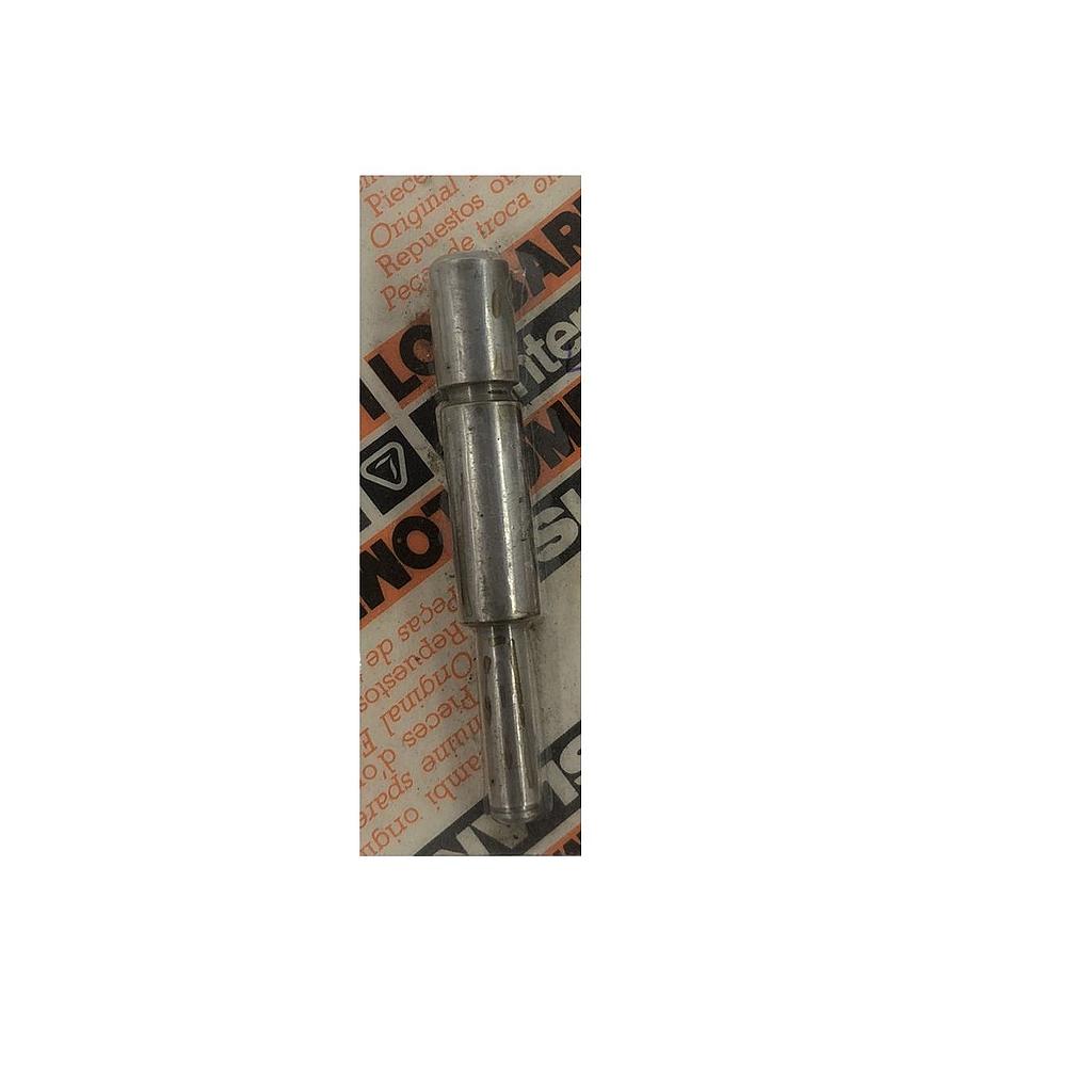 13 - Veio