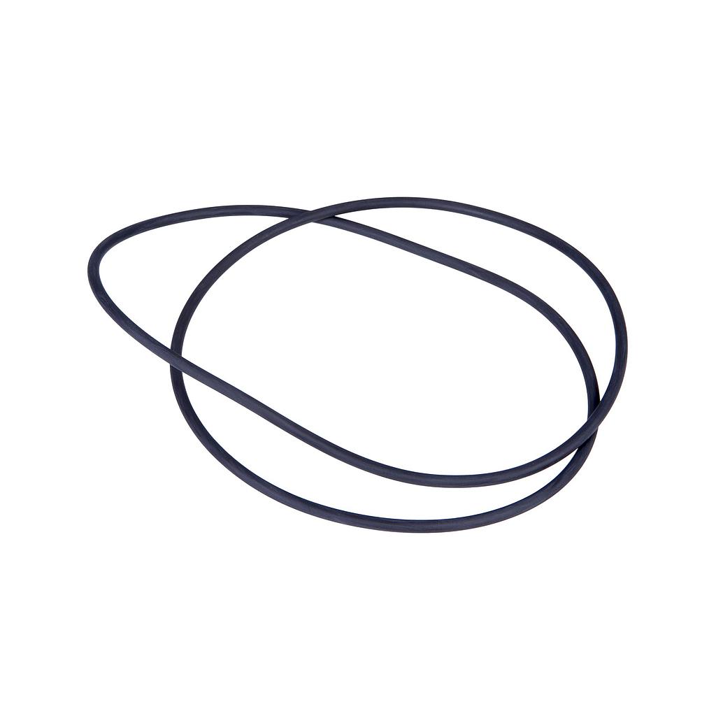 O-ring Fendt