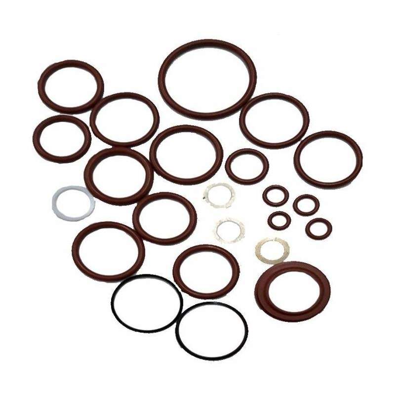 Kit reparação válvula Fendt